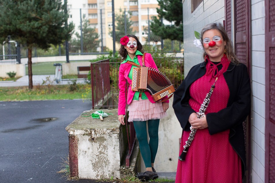 striknine accordéon et musique